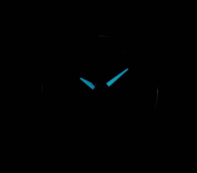 Ceas Dama, Citizen, Super Titanium EW2210-53L